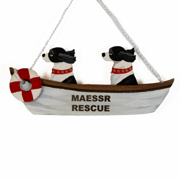 Rescue Boat